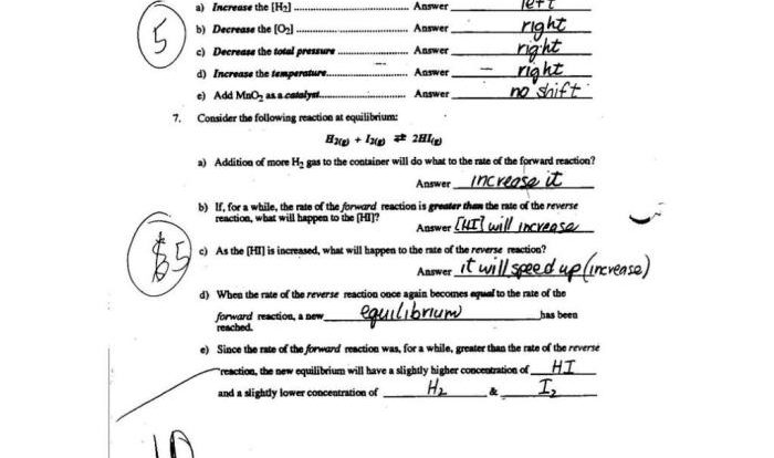 The activity series pogil answer key