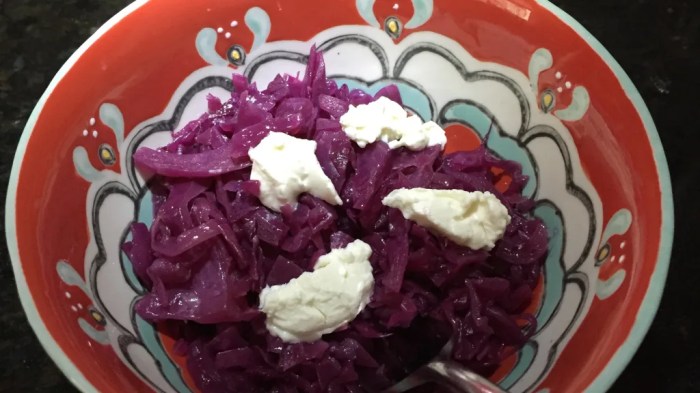 Braised red cabbage with goat cheese