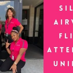 Silver airways flight attendant pay