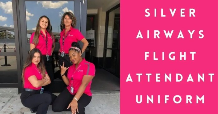 Silver airways flight attendant pay