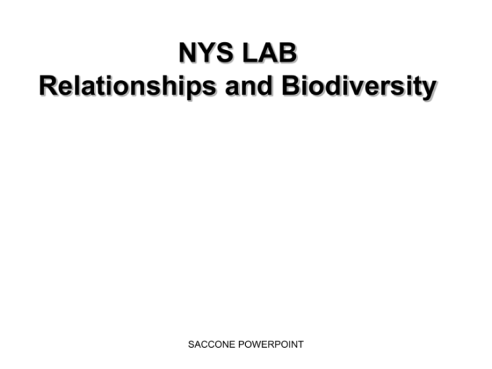 Nys relationships and biodiversity lab