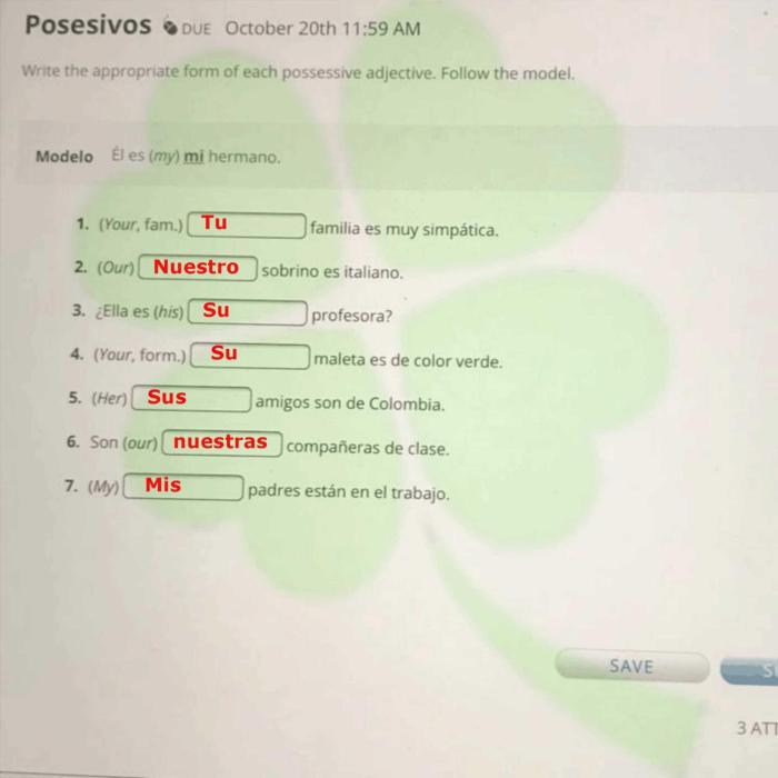 Answer each question affirmatively using the correct possessive adjective.