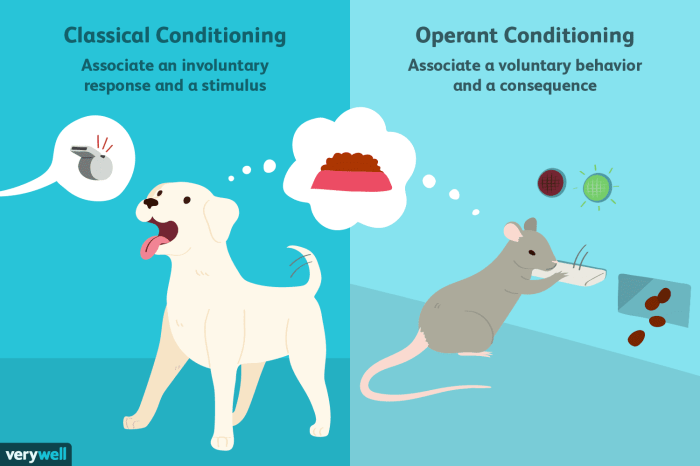 Which of the following statements is true about operant conditioning