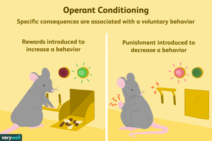 Conditioning operant pv reinforcement