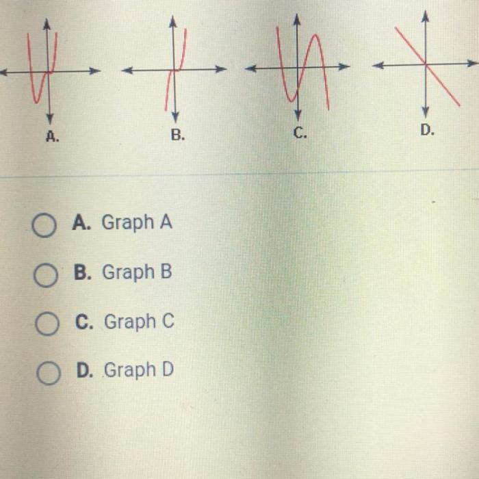 Represent following quartic graphs function